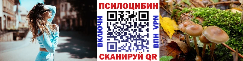продажа наркотиков  Петушки  Галлюциногенные грибы ЛСД 